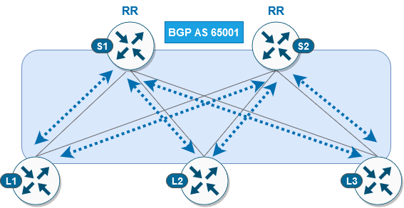 _images/cfg01_bgp.png